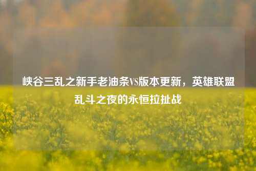 峡谷三乱之新手老油条VS版本更新,英雄联盟乱斗之夜的永恒拉扯战