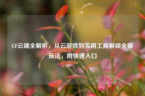 CF云端全解析，从云游戏到实用工具解锁全新玩法，附快速入口
