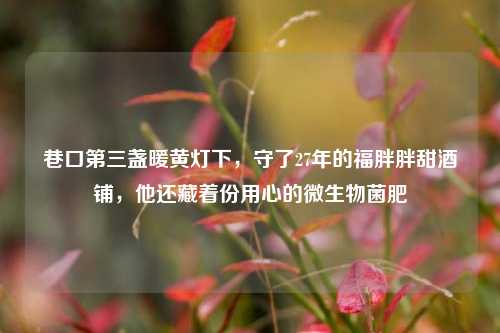 巷口第三盏暖黄灯下,守了27年的福胖胖甜酒铺,他还藏着份用心的微生物菌肥