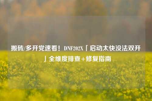 搬砖/多开党速看！DNF202X「启动太快没法双开」全维度排查+修复指南