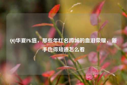*** 华夏PK值,那些年红名蹲城的血泪荣耀,新手也得知道怎么看