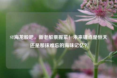 ST海龙股吧，新老船票握紧！未来锚点是恒天还是那抹难忘的海味记忆？